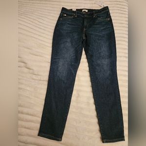 AE77 American Eagle Premium High-wasted Jegging Jeans
